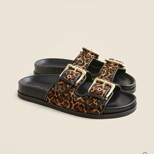 New Colbie wide-strap buckle sandals in leopard-print calf hair